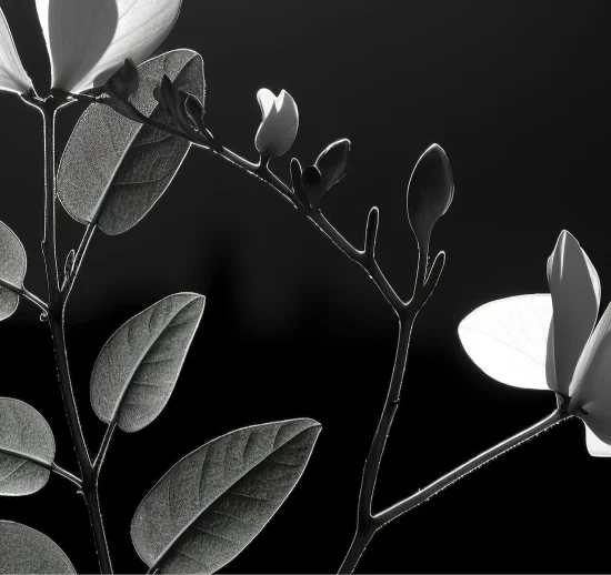 service003 service003